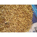 New Crop Coriander Seeds and Powder